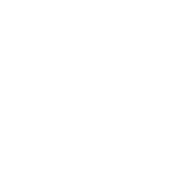 CAMION